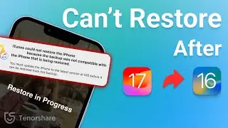 [Fixed] How to Restore iPhone with iTunes After Downgrade from iOS 17?