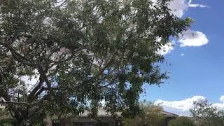 It’s raining on a sunny day