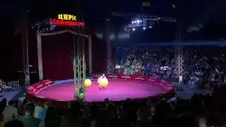 Акробатика на мячах Цирк
