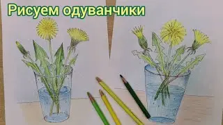 Скетч-рисуем одуванчики. Цветные карандаши и гелевая ручка