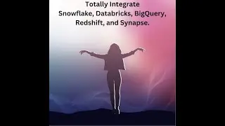 Fully integrate Snowflake Databricks BigQuery Redshift and Synapse