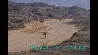 I colori della natura