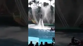 SHOW