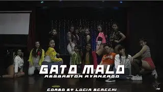 GATO MALO - Karol G ft. Nathy Peluso | #PROYECTOURBANO