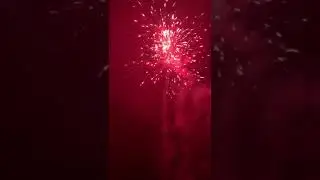 Neujahr 2020 Tobi 3/8