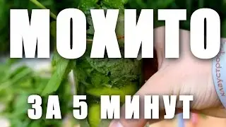 КАК сделать МОХИТО за 5 минут (очень вкусное и освежающее)