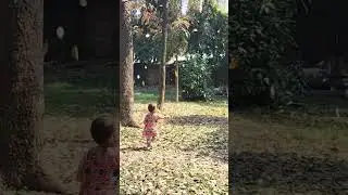 Aara trying to catch leaves, Dr. Muhammed Sahidulllah Hall, DU