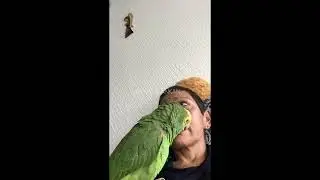 GRACIAS A LA VIDA | Thanks to life | Loro Kankan
