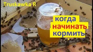#Bees