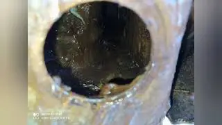 АНТИКОР пушсалом, калина