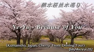 Ne Yo - Because of You（熊本 - 桜並木巡り）/ βillyMix.Vol.282