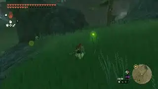 Fireflies I found on Tiktok( Zelda Tears of the Kingdom)