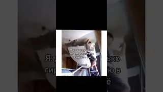 Я и аккуратность #аккуратно#гирлянда#комната#мама#я#мемы#стена#video#комнаты#потолок#мем#shorts#упал