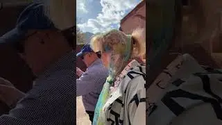 Деревне 2000 лет узкие улицы