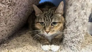 Let’s hang out with Mandy!