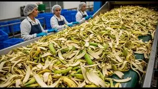 Inside a Factory You’ve Never Seen Before
