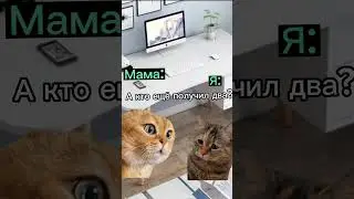 И снова двойка 🐱 #мем #мемныекоты #котики #вреееек