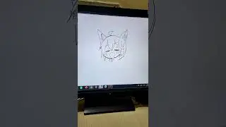 PYTHON PROGRAM OF ANIME