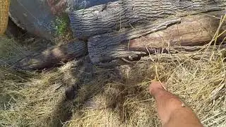 Kaya mezarlara tırmandım , soyguna uğramış başka mezarlar buldum