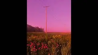 [free for profit] ✦.•° бредишь + лесополоса + owar1 type beat 