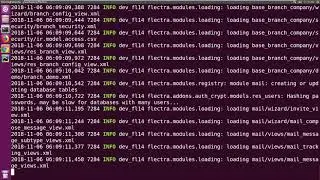 How To Upgrade Flectra to New Version