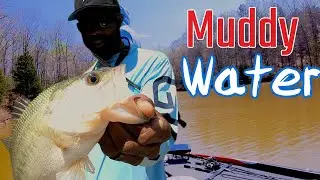 Fishing in a Muddy Creek with a Spinnerbait