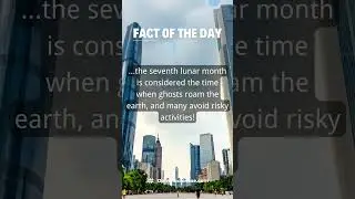 Fact of the Day | Domino Chinese #shorts #mandarincourse #chineselanguage #mandarin #learnchinese