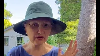 События которых Вам не избежать! Что вот-вот случится и будет неожиданностью? 