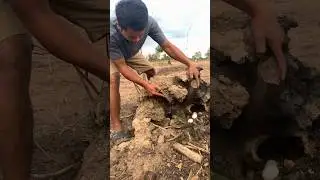 Something beneath this ground