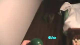 Кот бегает за мячиком