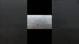 Необычная поимка на фидер ! Москва река не перестает удивлять 