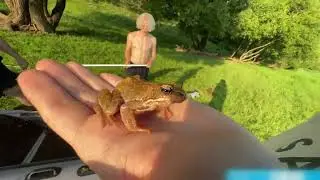 🥰🐸ЛЯГУШКА РАЗГОВАРИВАЛА С КОРЕШЕМ?!🐸🥰