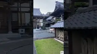 Kosai 