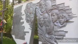 Вылазка в лес // Пуща помнит войну