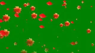 green screen flower rain vidio | flower rain green screen effects|  green screen vidio| creat round|