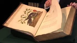 The Natural History of Carolina, Florida and the Bahama Islands: Catesby