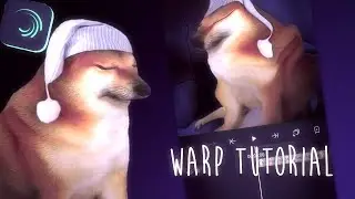 Warp Tutorial - Alight Motion