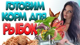 Лучший корм для аквариумных рыбок. Фарш для рыбок своими руками. СДЕЛАЙ САМ!