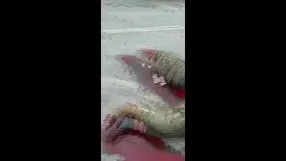 War in Ukraine