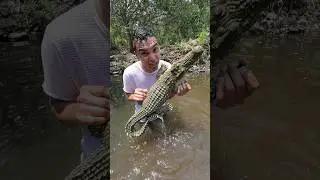 ME SALIO UN COCODRILO 