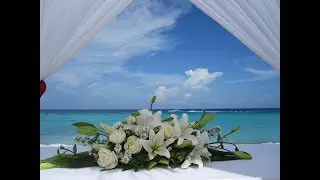 Mexico, Cancun. Bel Air Collection Hotel & Spa 5*