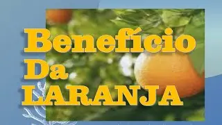 Veja o que faz o Beneficio da Laranja Lima em nosso corpo