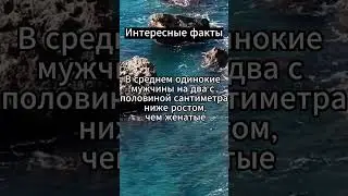 Почти тридцать процентов женщин #психология #факты