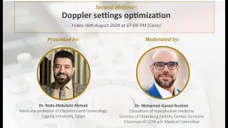 Doppler US in Gyn & Obs Workshop 2024: 2) Doppler Settings Optimization Prof. Reda Abdulaziz Ahmad