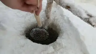 Рыбалка после морозов