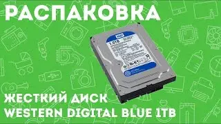 «Распаковка ЖЕСТКИЙ ДИСК Western Digital Blue 1TB  из Rozetka com ua»