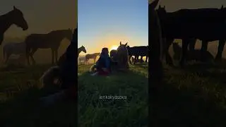 Если встречать рассвет, то так 💔 #конныйблог #конныйтуризм #equestrian #конныепрогулки #лошади