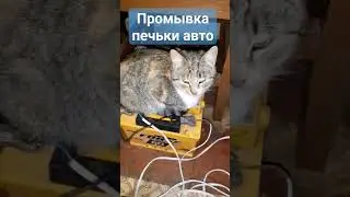 #промывкапечки #негреетпечька #опельвиваро #печька #отопительныйсезон