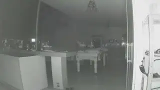 Ghost walking a dog