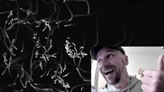 audioreactive particles with p5.js- LCTV =) #9 -